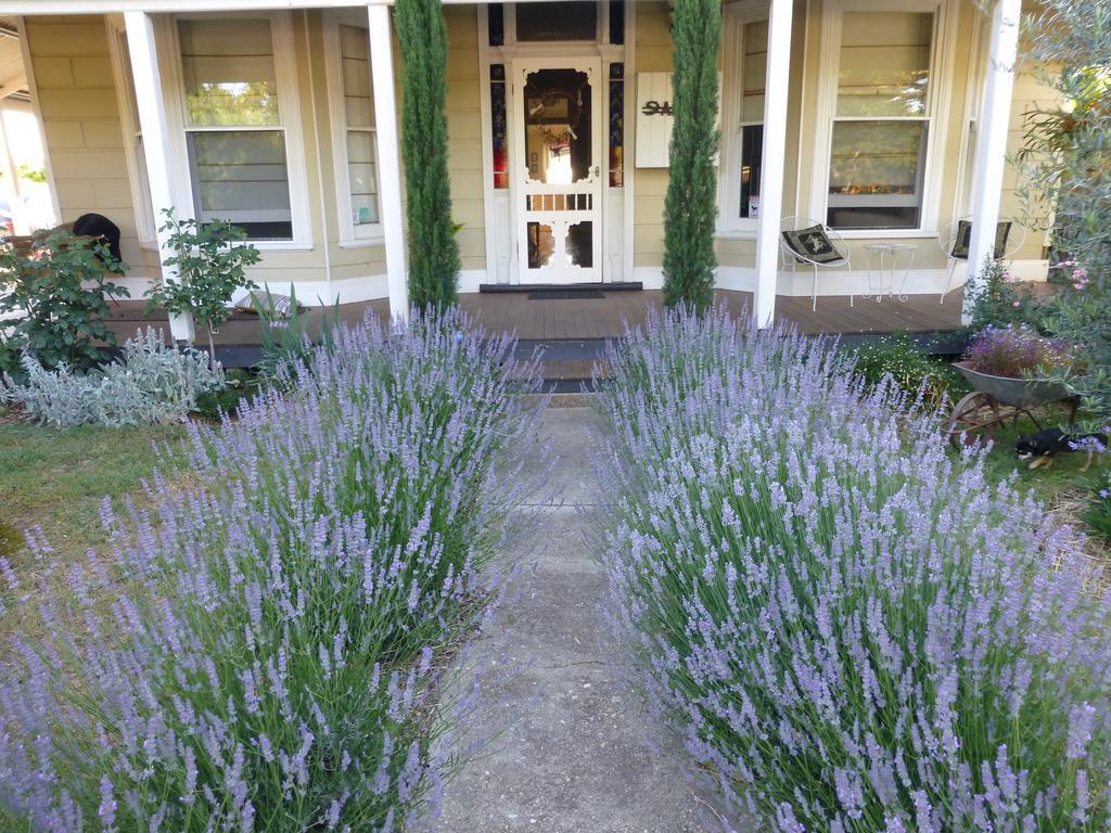 La Maison St Arnaud Rutherglen Extérieur photo
